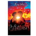 Un été à Camden (édition brochée)